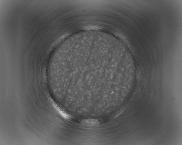 X0000080700353200701121757