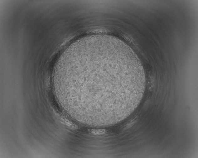 X0000080700355200701121757