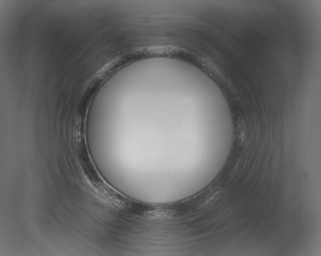 X0000080700356200701121757