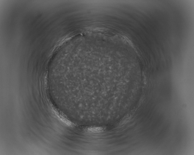 X0000080700357200701121757