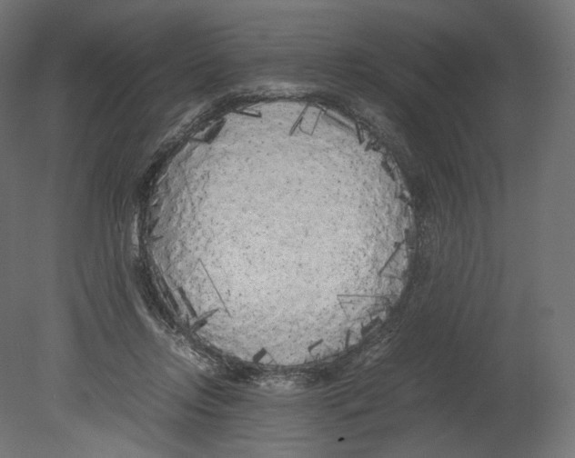 X0000080700358200701121757