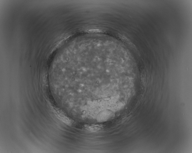 X0000080700359200701121757