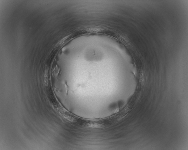 X0000080700360200701121757