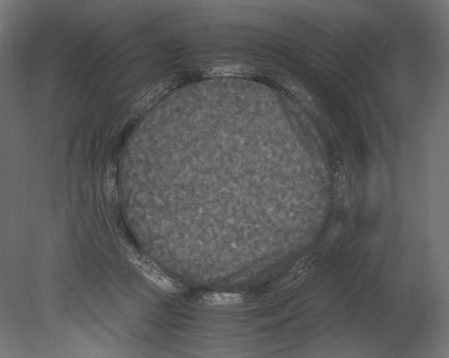 X0000080700361200701121757