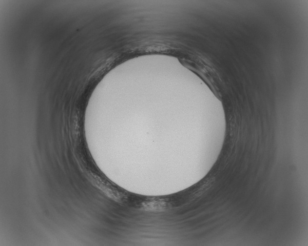 X0000080700362200701121757