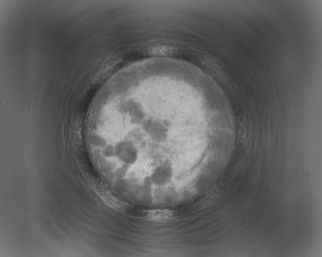 X0000080700363200701121757