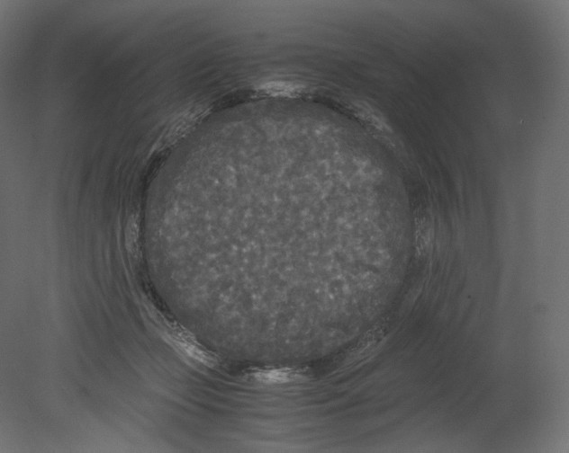 X0000080700365200701121757