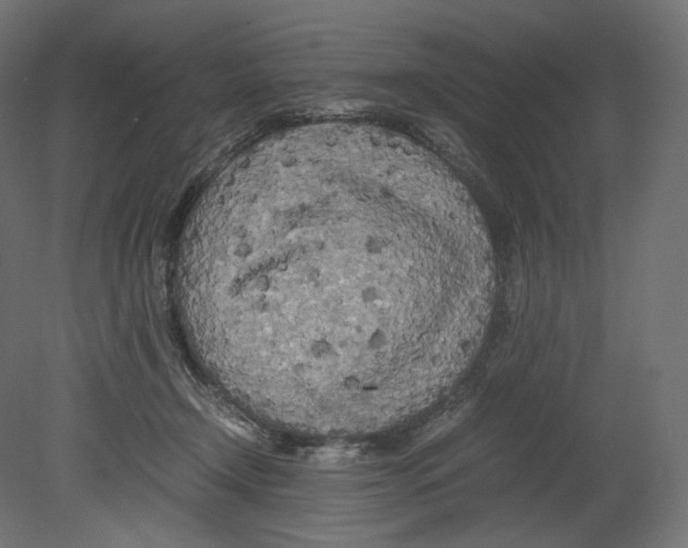 X0000080700366200701121757