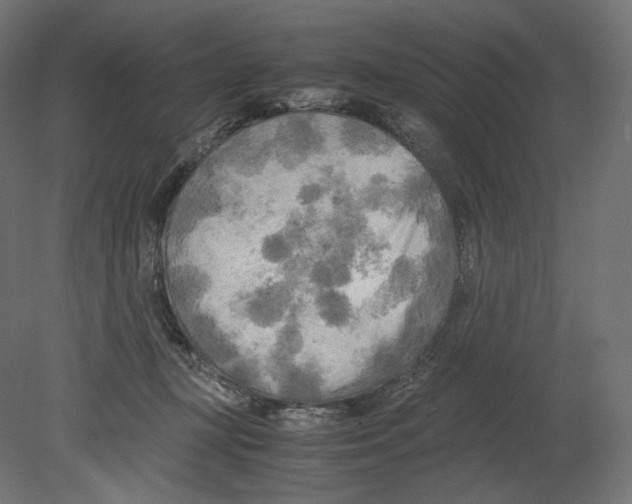 X0000080700367200701121757