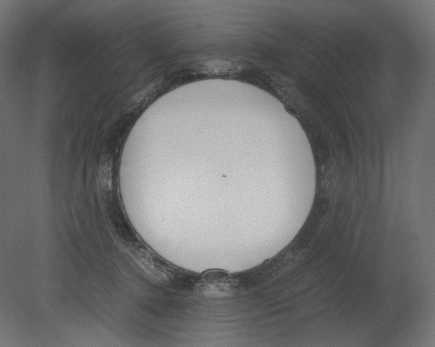 X0000080700368200701121757