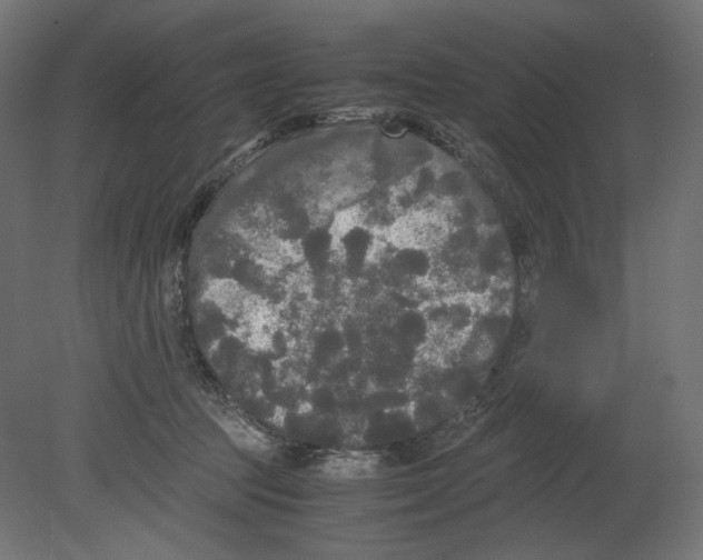 X0000080700369200701121757