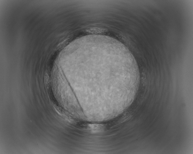 X0000080700371200701121757