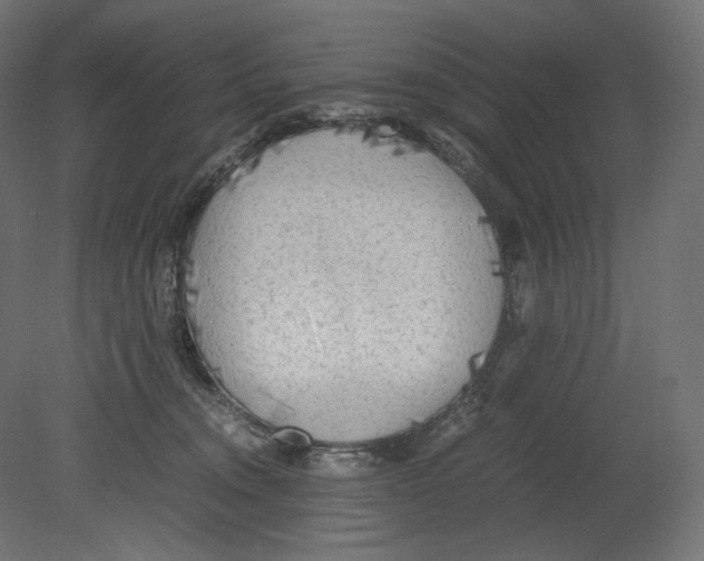 X0000080700372200701121757