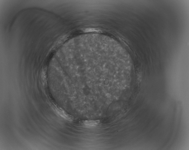 X0000080700373200701121757