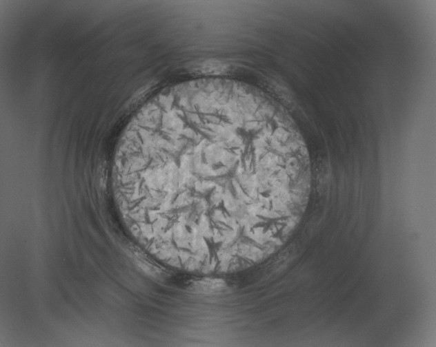 X0000080700374200701121757