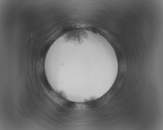 X0000080700376200701121757