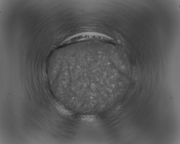 X0000080700377200701121757