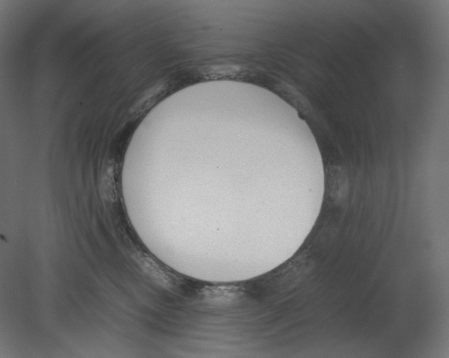 X0000080700378200701121757