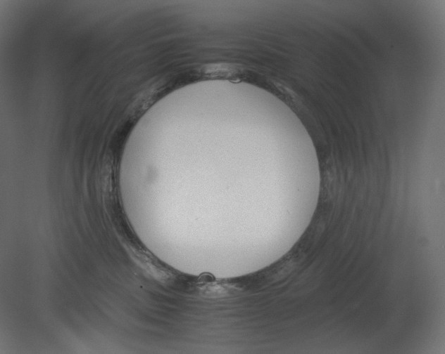 X0000080700379200701121758