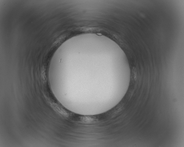 X0000080700380200701121758