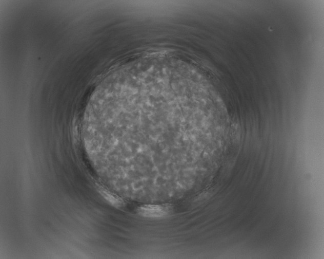 X0000080700381200701121758