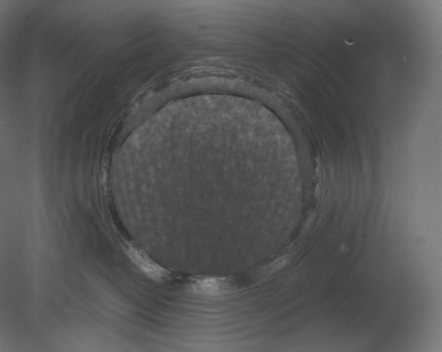 X0000080700382200701121758