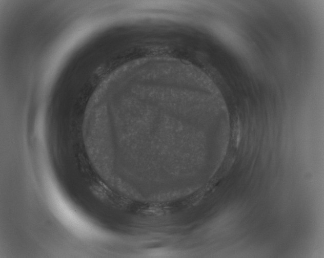 X0000080700383200701121758