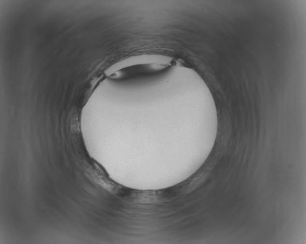 X0000080700384200701121758