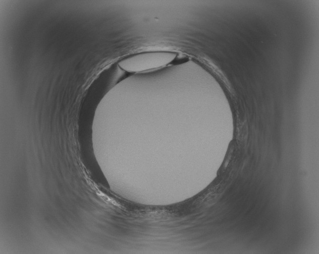 X0000080700385200701121757