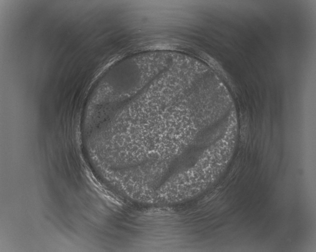 X0000080700386200701121757