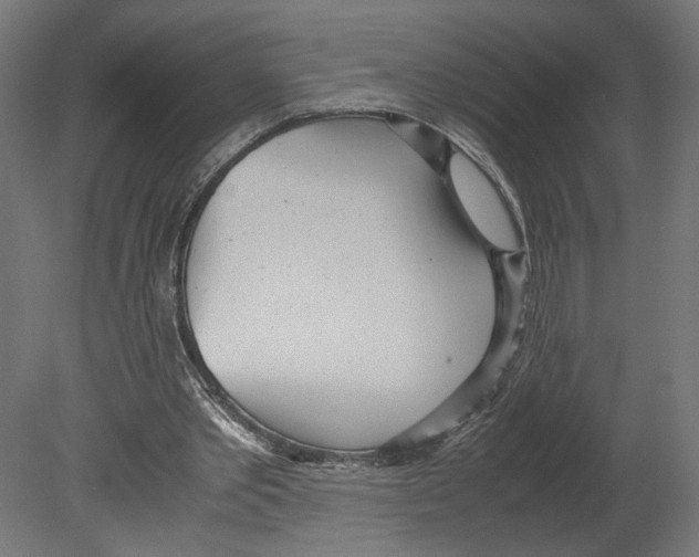 X0000080700389200701121757