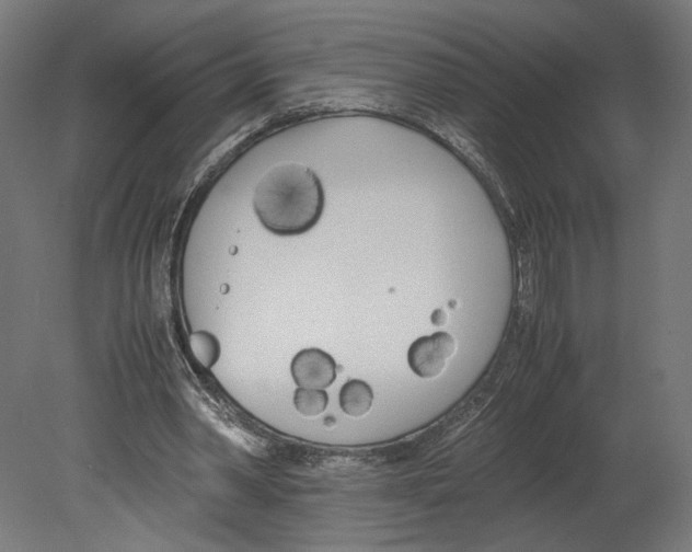 X0000080700390200701121757