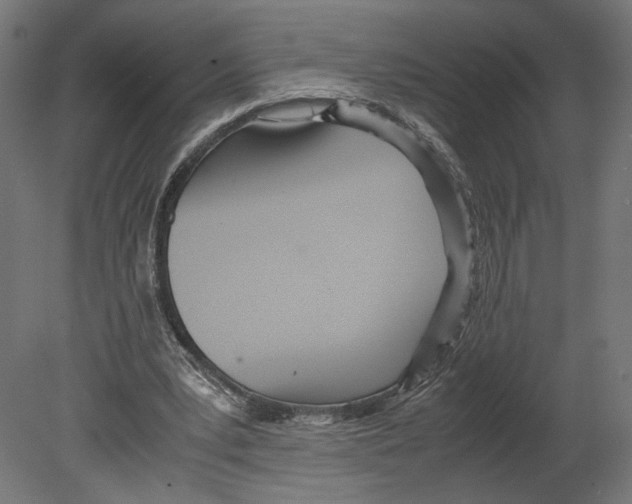 X0000080700391200701121757