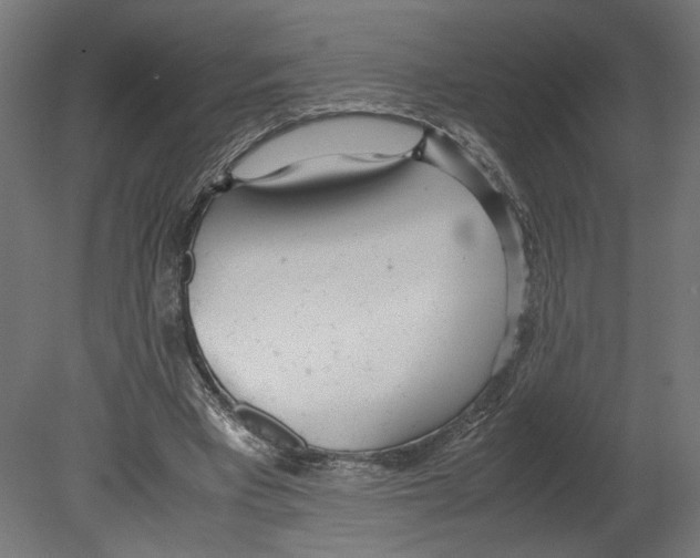 X0000080700393200701121757