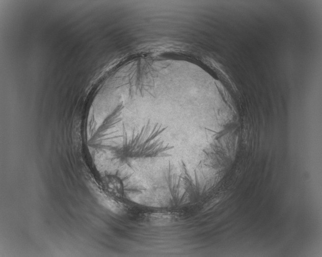 X0000080700394200701121757