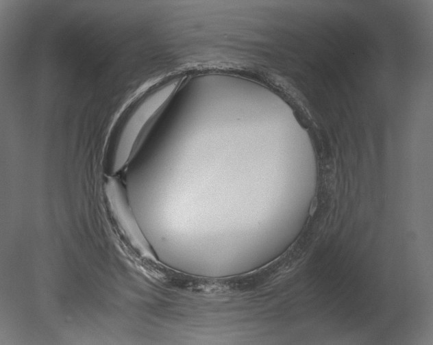 X0000080700395200701121757