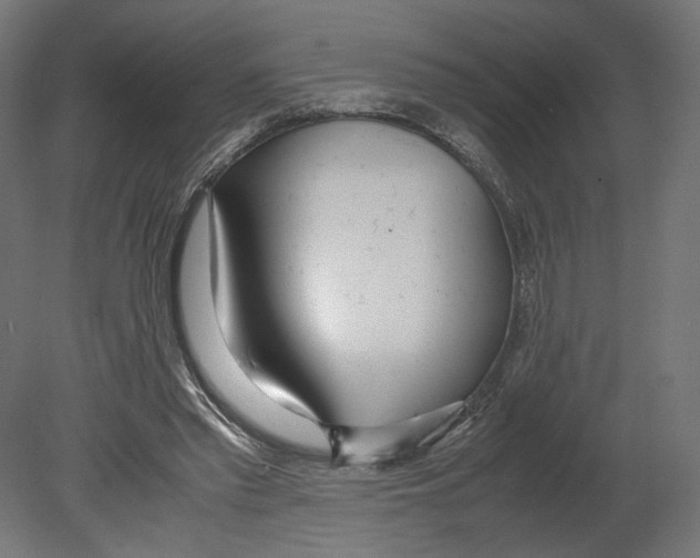 X0000080700397200701121757