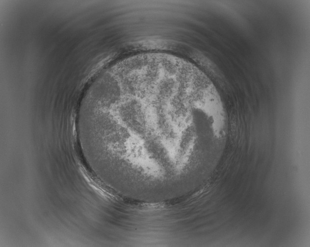 X0000080700398200701121757