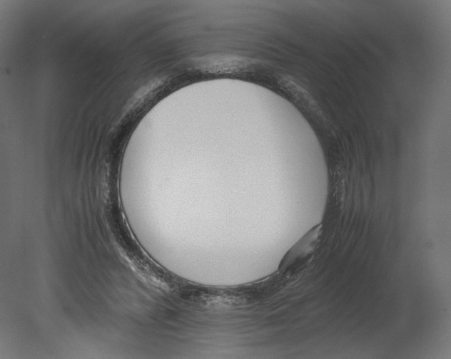 X0000080700400200701121757