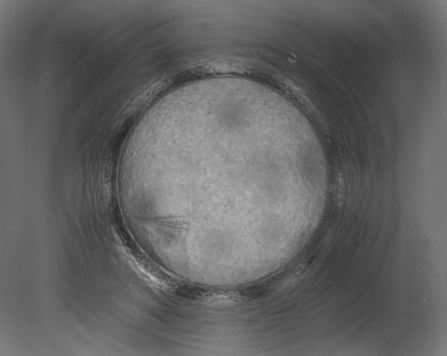 X0000080700402200701121756