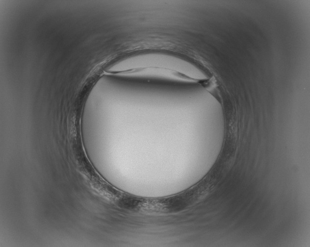 X0000080700403200701121756