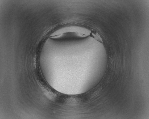 X0000080700404200701121756