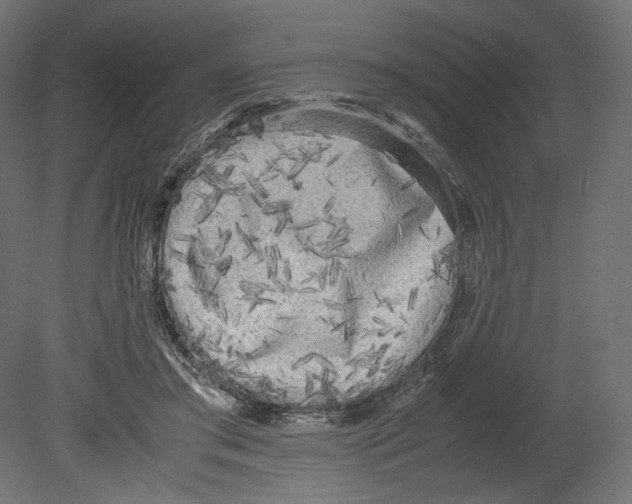 X0000080700405200701121756