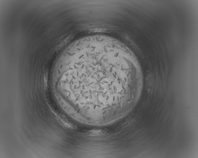 X0000080700406200701121756