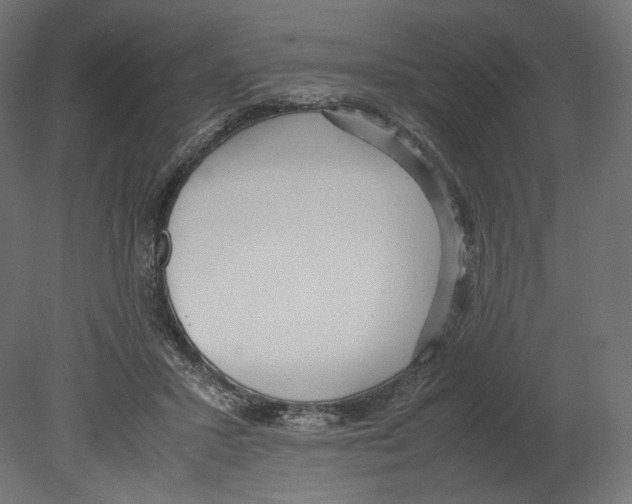 X0000080700407200701121756