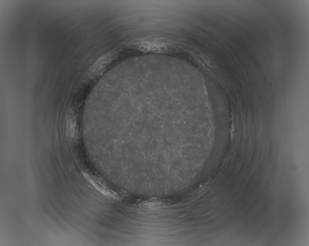 X0000080700408200701121756