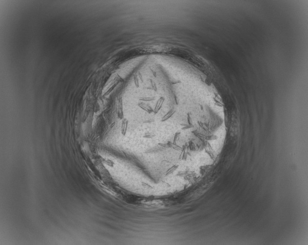 X0000080700409200701121756