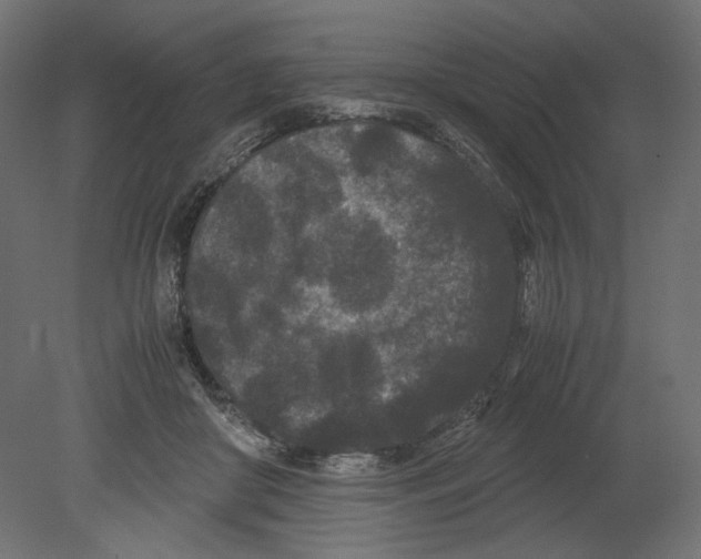 X0000080700410200701121756