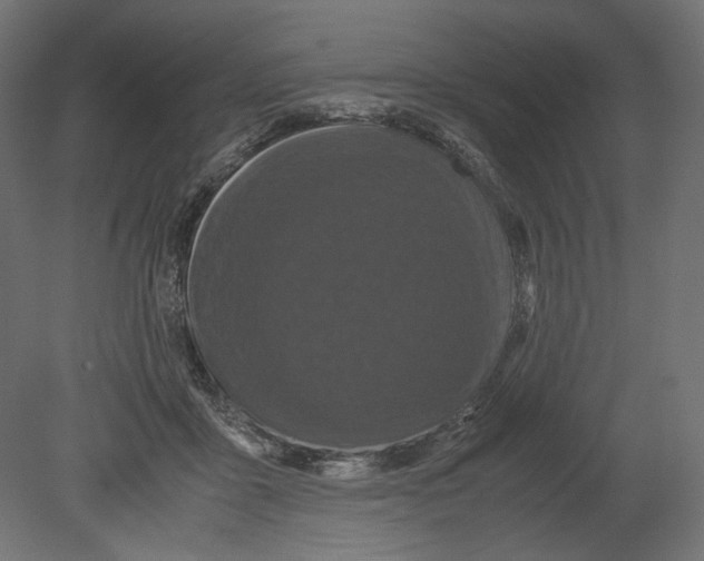 X0000080700411200701121756