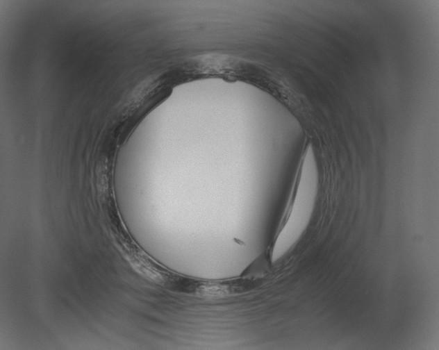 X0000080700413200701121756